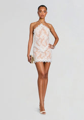 Flavio Lace Dress
