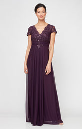 Alex Evenings 81171561 Formal Long Pleated A Line Evening Dress