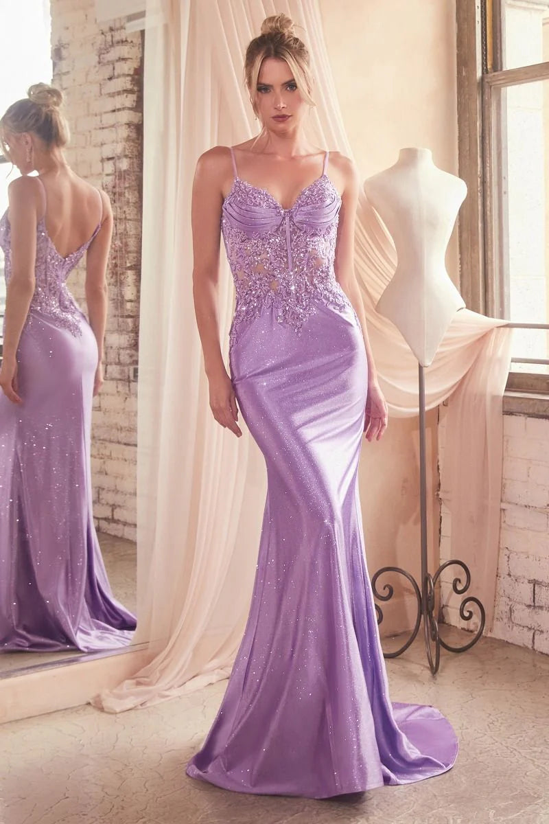 Jodie Gown - Fitted Lace Appliqué Evening Dress